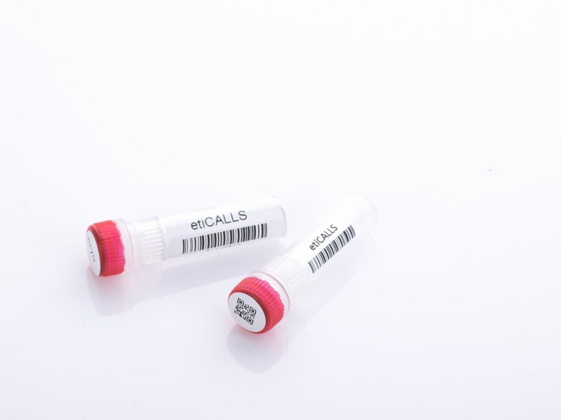 Etykiety laboratoryjne etiCALLS CRYO EC-12402, EC-12406