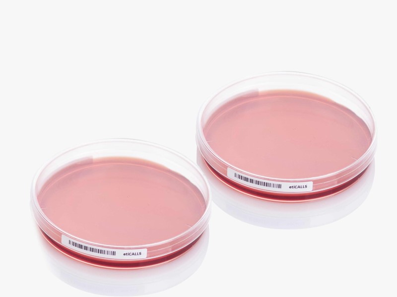 Etykiety laboratoryjne  etiCALLS FREEZE EC-11410, EC-11418